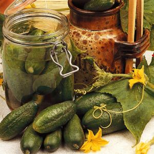 Cornichons verts Parisiens
