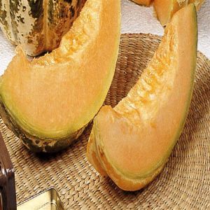 Melon Ananas à chair orange