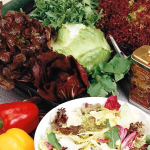 Mesclun (Mélange de salade)