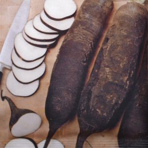 Radis d'hiver- Noir gros long