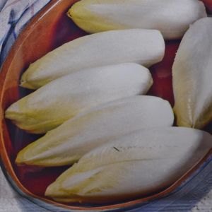 Chicon / Endive