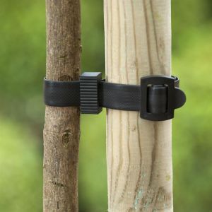 Collier de tuteurage en caoutchouc