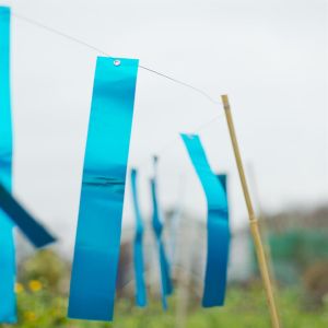 Rubans répulsifs pour oiseaux 29.5x4.5cm