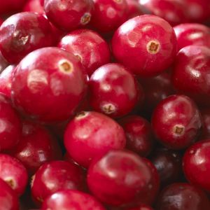 Myrtillier Vaccinium Cyrombosum Pink