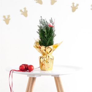 Mini kerstbom folie goud