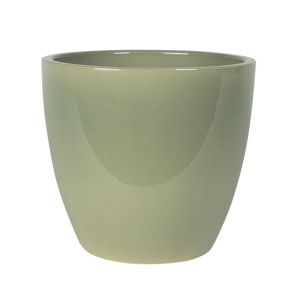Pot Sven menthe 20 cm