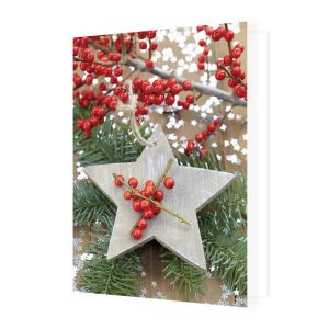 Étoile de Noël