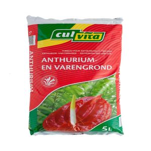 Culvita Anthurium et terre de fougère 5 litres