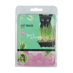 Cat Grass 2 094700