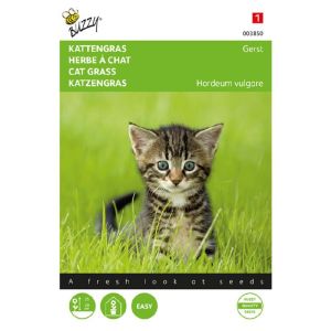 Herbe à chat 10 gr