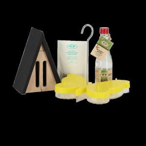 Paquet complet pour papillons