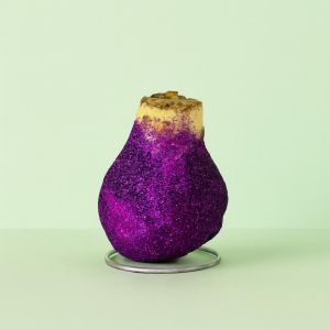 Amaryllis glitter paars Studio