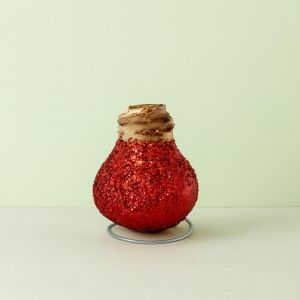 Amaryllis glitter Rood Studio