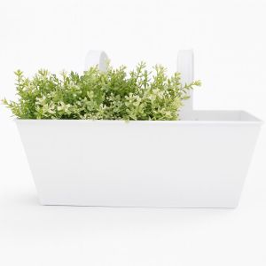 RD24.jpg Studio White