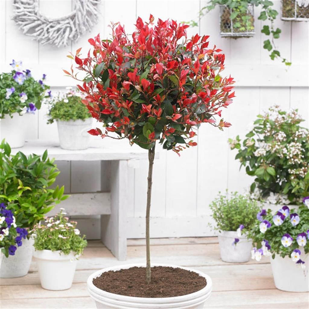 plant pot pink Pink Artificial Flower Pot For Home Decor main image 1